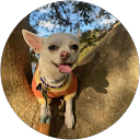 Home 14 Christy Z profile picture